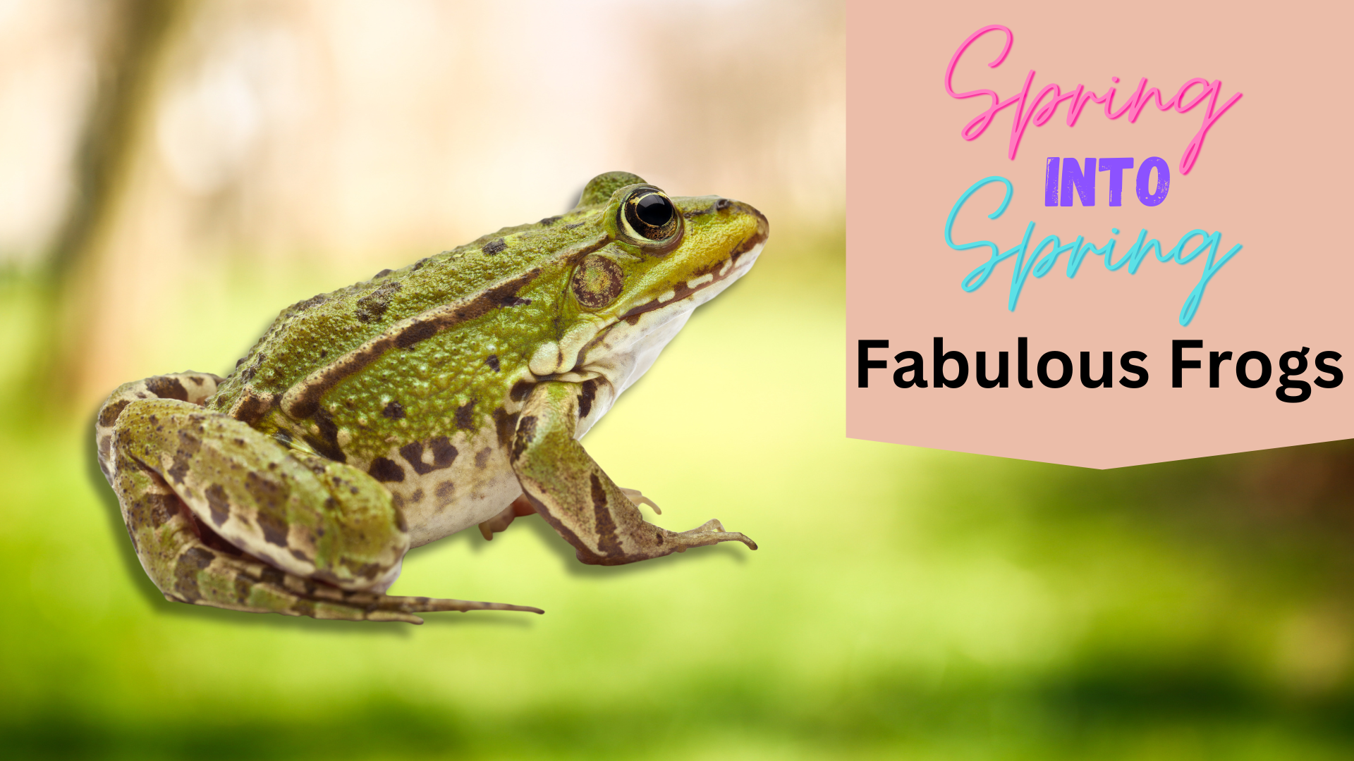 Fabulous froggies cheapest